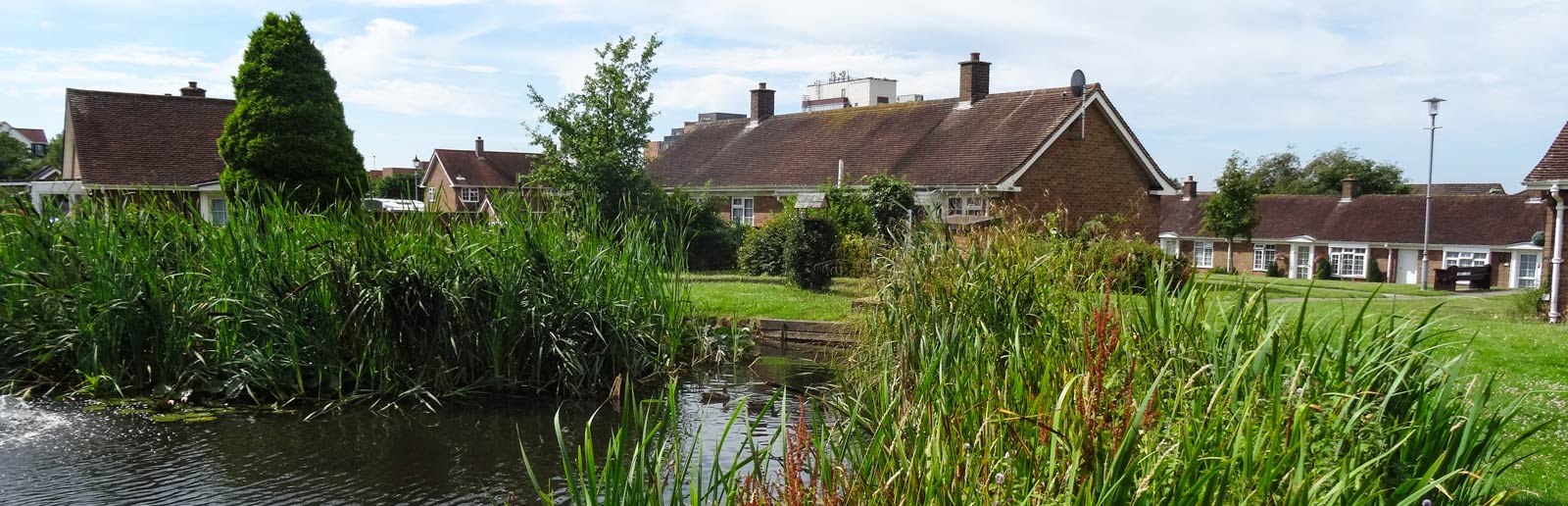 The Charity of Roger Reede